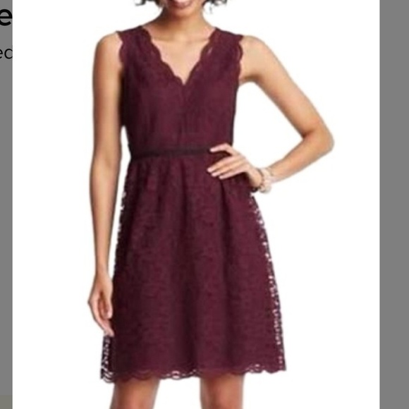 NWOT Ann Taylor Loft scalloped lace v neck dress, - Picture 5 of 7